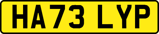 HA73LYP