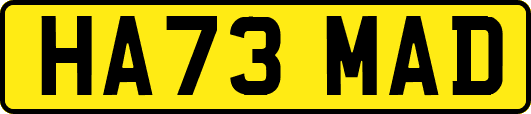 HA73MAD