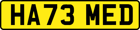 HA73MED