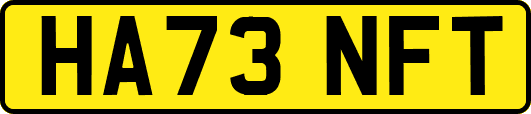 HA73NFT