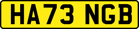 HA73NGB