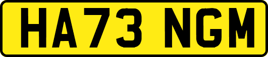 HA73NGM