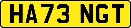 HA73NGT
