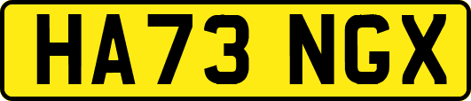 HA73NGX