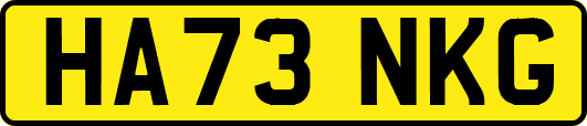 HA73NKG