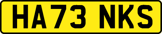 HA73NKS