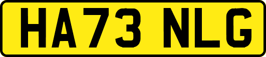 HA73NLG