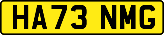 HA73NMG