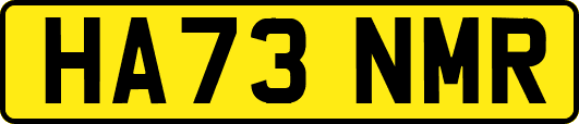 HA73NMR