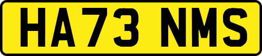 HA73NMS