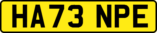 HA73NPE