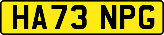 HA73NPG