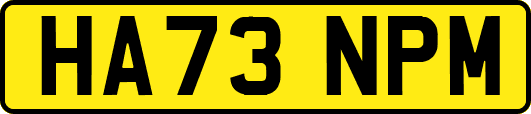 HA73NPM