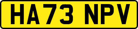 HA73NPV