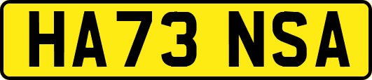 HA73NSA