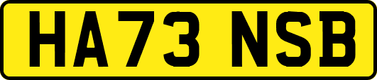 HA73NSB