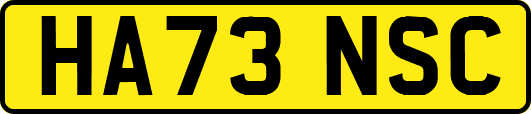HA73NSC