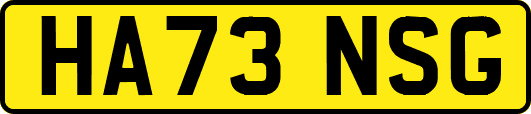 HA73NSG