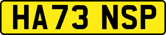 HA73NSP