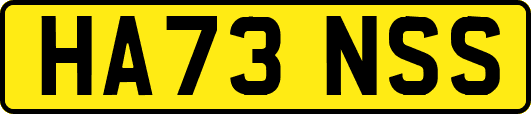 HA73NSS