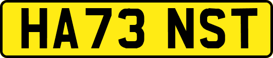 HA73NST
