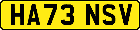 HA73NSV