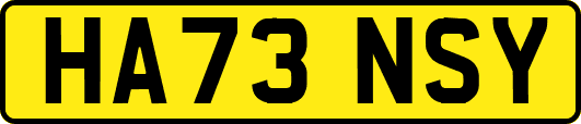 HA73NSY