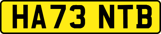 HA73NTB