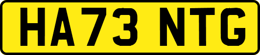 HA73NTG