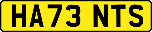 HA73NTS