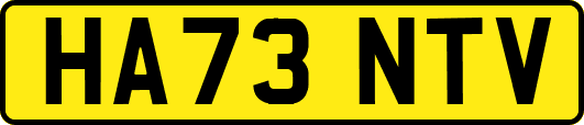 HA73NTV