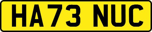 HA73NUC