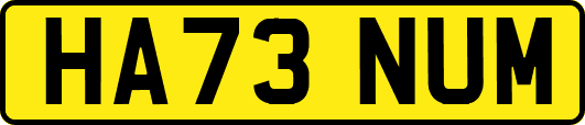 HA73NUM