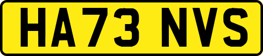 HA73NVS