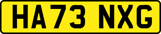 HA73NXG