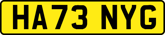 HA73NYG