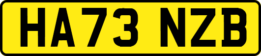 HA73NZB