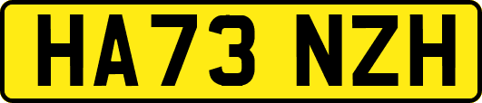 HA73NZH