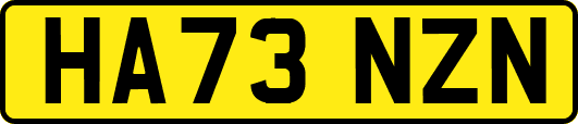 HA73NZN