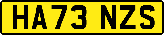 HA73NZS