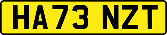HA73NZT