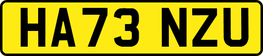 HA73NZU