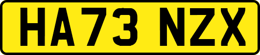 HA73NZX