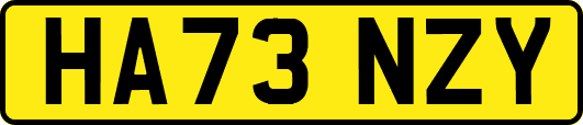 HA73NZY