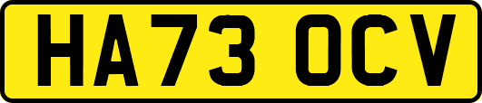 HA73OCV