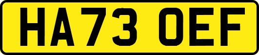 HA73OEF