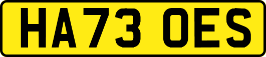 HA73OES