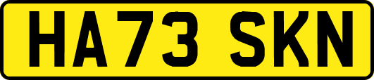 HA73SKN