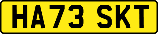 HA73SKT