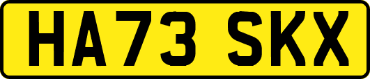 HA73SKX